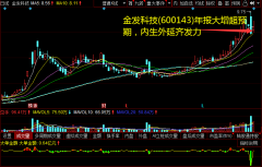 金发科技(600143)年报大增超预期，内生外延齐发力