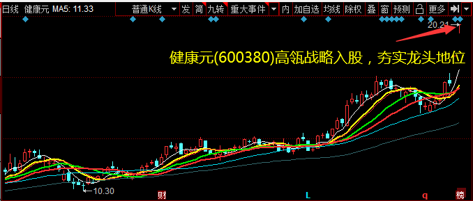 健康元(600380)高瓴战略入股，夯实龙头地位 