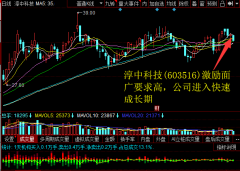 淳中科技(603516)激励面广要求高，公司进入快速成长期