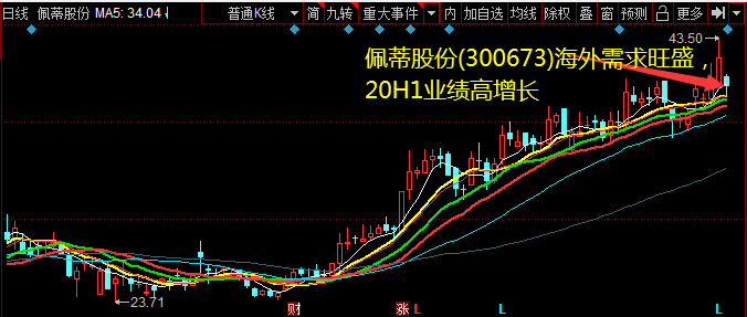 佩蒂股份(300673)海外需求旺盛，20H1业绩高增长 