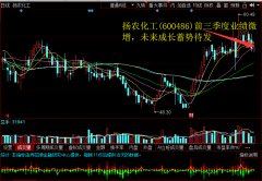 扬农化工(600486)前三季度业绩微增，未来成长蓄势待发