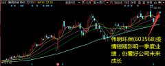 伟明环保(603568)疫情短期影响一季度业绩，仍看好公司未来成长