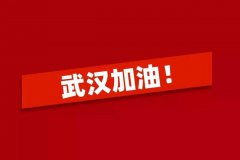 阿里、腾讯、小米、恒大都出动了，包围武汉， 中国企业靠得住！