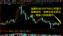 迪普科技(300768)公司首次覆盖报告：信息安全优质企业，竞争力持续提升