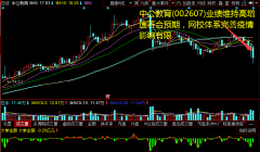 中公教育(002607)业绩维持高增速符合预期，网校体系完善疫情影响有限