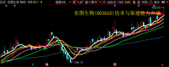 安图生物(603658)技术与渠道能力并举