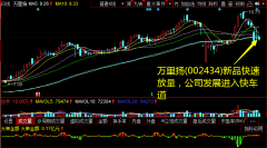 万里扬(002434)新品快速放量，公司发展进入快车道