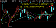 IoT智能表快速放量，围绕主业持续外延布局