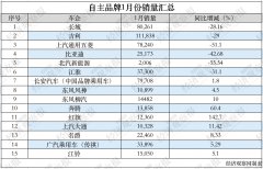 1月乘用车销量创15年来最大跌幅 多家自主品牌逆势增长