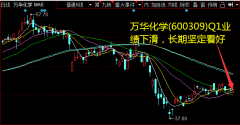 万华化学(600309)Q1业绩下滑，长期坚定看好