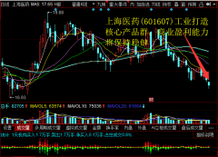 上海医药(601607)工业打造核心产品群，商业盈利能力将保持稳健