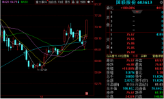 12月31日晚间金股预测：国联股份等3股后市备受关注