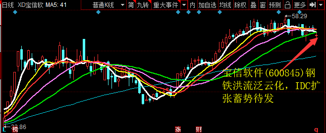 宝信软件(600845)钢铁大水泛云化，IDC扩张蓄势待发 