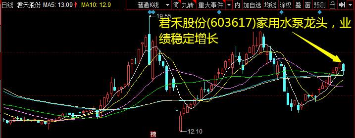 君禾股份(603617)家用水泵龙头，业绩不变增长