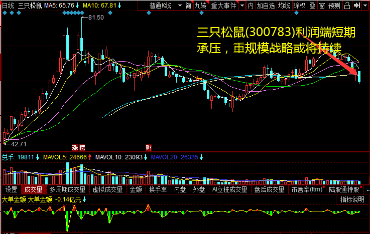 三只松鼠(300783)利润端短期承压，重规模战略或将连续