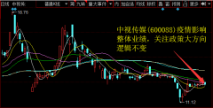 公司Q1营收1.56亿元