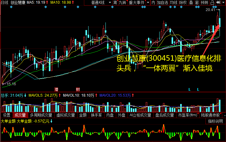 创业慧康(300451)医疗信息化排头兵，“一体两翼”渐入佳境 