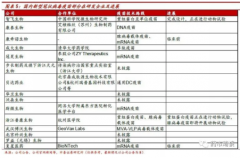 当前已经到了临床前