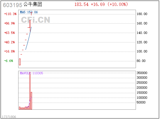 热点龙头赚钱效应爆棚