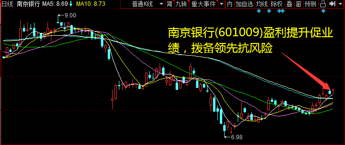 南京银行(601009)盈利提升促业绩，拨备当先抗风险