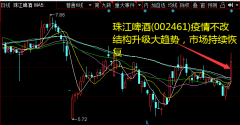  业绩简评 珠江啤酒(002461) 发布一季报