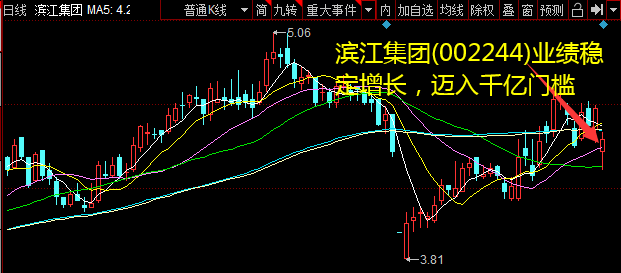 滨江集团(002244)业绩不变增长，迈入千亿门槛