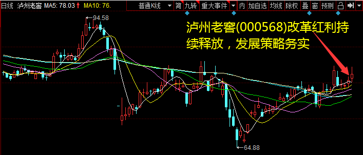 泸州老窖(000568)厘革红利连续释放，开展计谋求实