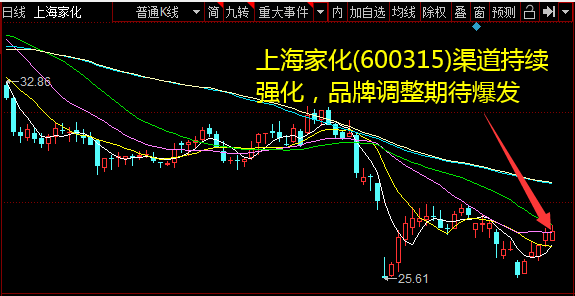 上海家化(600315)渠道连续强化，品牌调整等待爆发