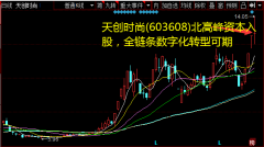  引入北高峰资本作为长期合作伙伴