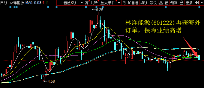 林洋能源(601222)再获海外订单，保障业绩高增 