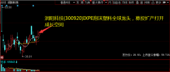 润阳科技(300920)IXPE泡沫塑料全球龙头，募投扩产打开成漫空间