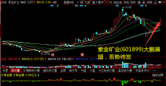 拥有刚果金Kamoa-Kakula、塞尔维亚Timok、哥伦比亚武里蒂卡金矿等世界级优质矿业项目