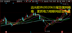 年初公司初步安排电网投资4000亿元以上