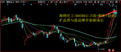 2019年归母净利润同比上升212.03%