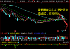 冲泡+即饮双轮驱动可期；同时公司经营效率领先