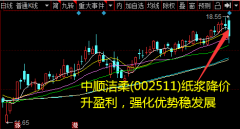 产品结构优化多 品牌助力洁柔快速成长原材料价格低位震荡