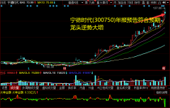 上调公司20-21年动力电池出货量假设