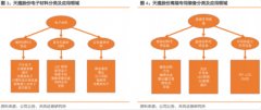 但是不排除国内其他公司迎头赶上的可能