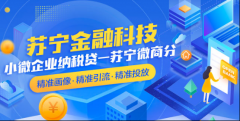 苏宁金融科技与平安银行将充分发挥各自技术和生态圈资源优势