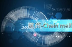  CHAIN MALL 的优势 CHAIN MALL 是针对个人的新时代市场主张