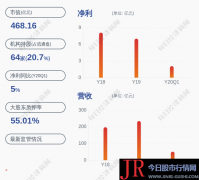  东山精密(002384)的董事长是袁永刚