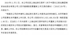 分别向沪深交易所递交重新上市申请