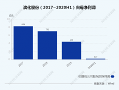  化工 上市企业滨化股份(601678) 发布半年度业绩报告