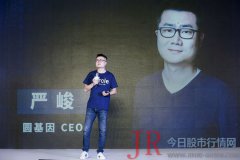 三叶草板鞋、牛仔裤、印有公司logo的深蓝色T恤