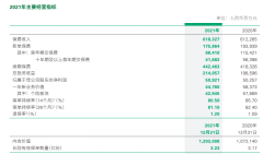  销售队伍留存难 个险代理人减少56万人 个险板块总保费为5094.89亿元