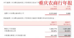 小米出产金融净利润368万 上半年还吃亏6000多万 第四季度业绩大逆转