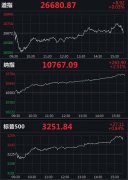 纳指涨2.51％创收盘历史新高，特斯拉涨超9％