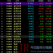 合兴转债为133万元