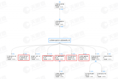 后续公告会进一步披露