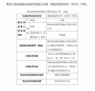 双鸭山中心支公司因未严格审核下辖保险社投保资料真实性